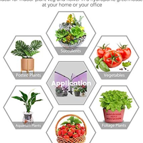 Grow Lights Plant Light for Indoor Plants Seed Starting Growing La...