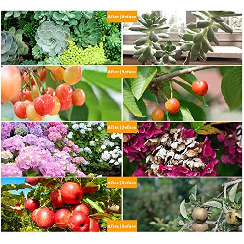 Grow Light, LED Grow Lights for Indoor Plants Full Spectrum 150W 3...