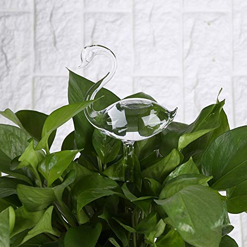 Yuehuam Plants Self Watering House Plants Flowers Automatic Self W...