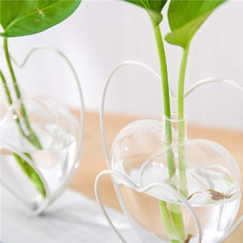 Yuema Heart Shaped Vintage Glass Vase, Cylinder Crystal Clear Terr...