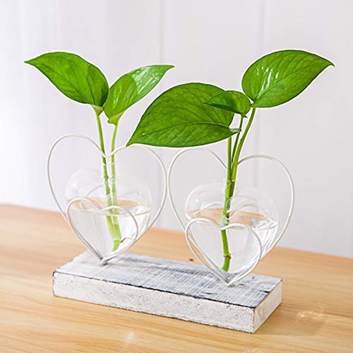 Yuema Heart Shaped Vintage Glass Vase, Cylinder Crystal Clear Terr...
