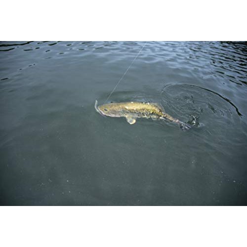 Yum Dinger Classic Worm All-Purpose Soft Plastic Bass Fishing Lure...