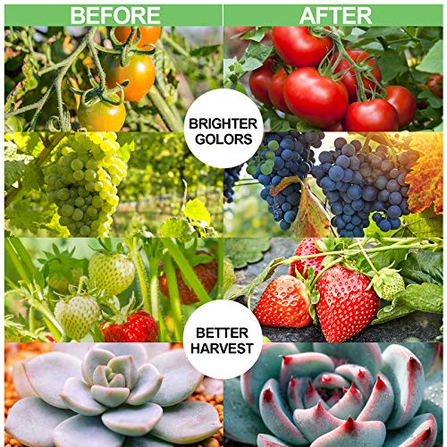 YZIXNUY Plant Grow Light, 60 LED Grow Lamp with Full Spectrum for ...