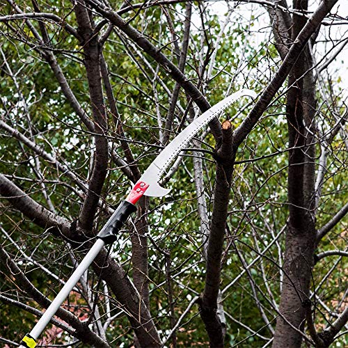 Pole Purning Saw Head - Gardening Pole Saw Hand Pole Saw - Precisi...