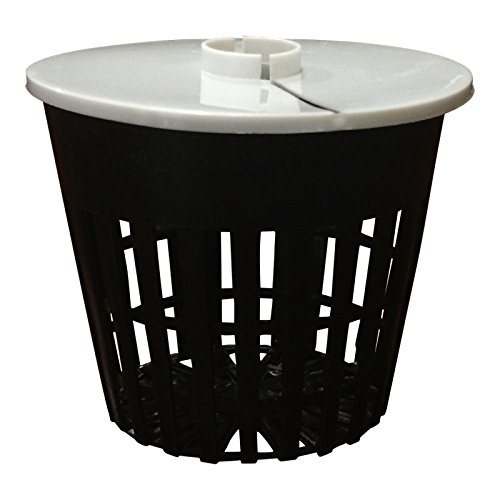 Net Pot 3 inch with Lids Mesh Hydroponic Aeroponic Orchid Round - ...