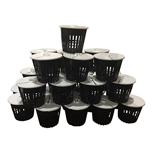 Net Pot 3 inch with Lids Mesh Hydroponic Aeroponic Orchid Round - ...