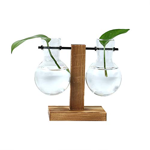 Plant Terrarium Hydroponic Air Planter Glass Vase Planter Bulb Vas...
