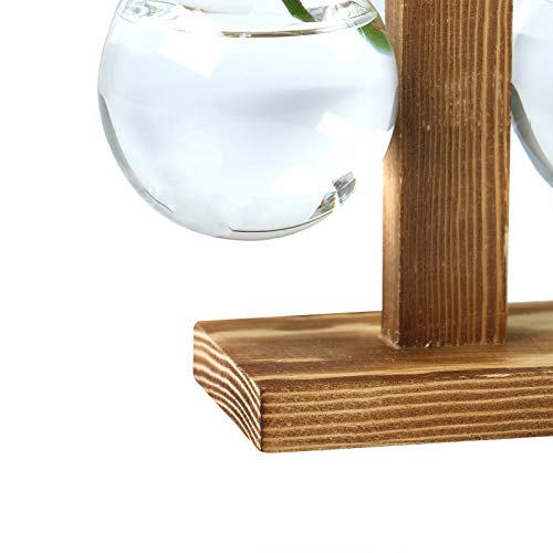 Plant Terrarium Hydroponic Air Planter Glass Vase Planter Bulb Vas...