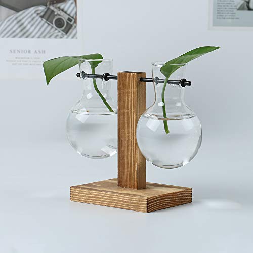 Plant Terrarium Hydroponic Air Planter Glass Vase Planter Bulb Vas...