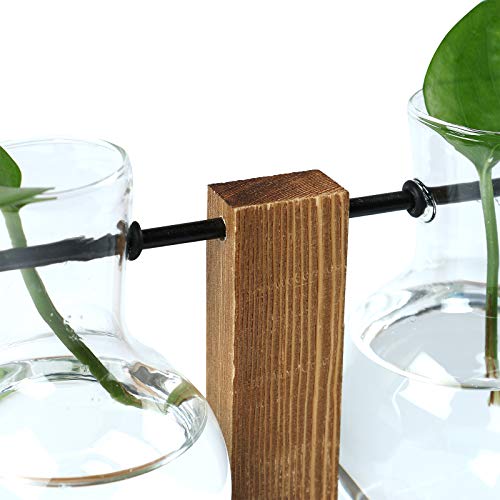 Plant Terrarium Hydroponic Air Planter Glass Vase Planter Bulb Vas...