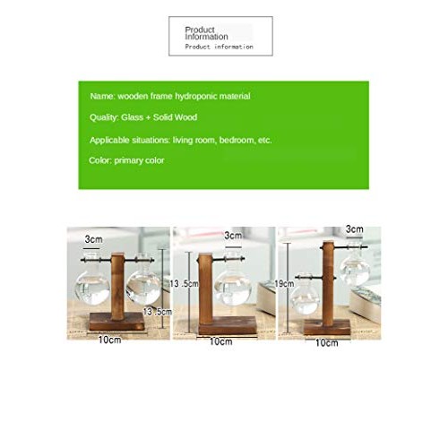 Plant Terrarium Hydroponic Air Planter Glass Vase Planter Bulb Vas...