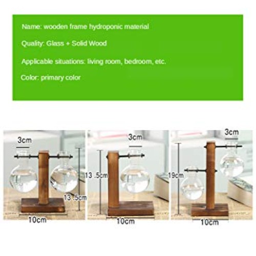 Plant Terrarium Hydroponic Air Planter Glass Vase Planter Bulb Vas...