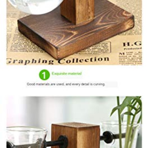 Plant Terrarium Hydroponic Air Planter Glass Vase Planter Bulb Vas...