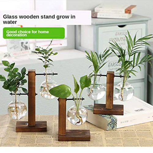 Plant Terrarium Hydroponic Air Planter Glass Vase Planter Bulb Vas...
