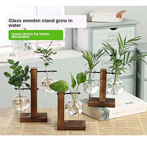 Plant Terrarium Hydroponic Air Planter Glass Vase Planter Bulb Vas...