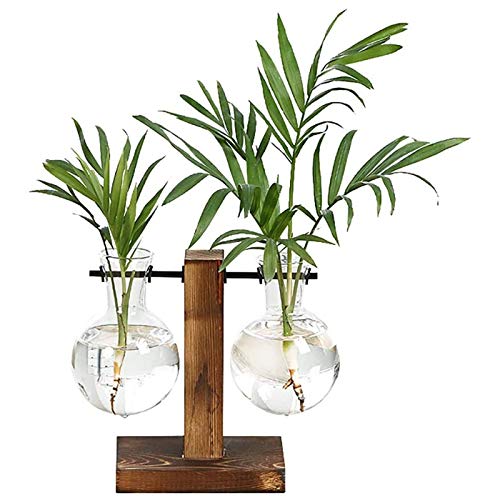 Plant Terrarium Hydroponic Air Planter Glass Vase Planter Bulb Vas...