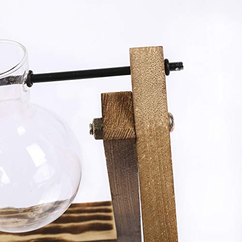 Plant Terrarium Hydroponic Vase Glass Planter Bulb Vase Tabletop H...