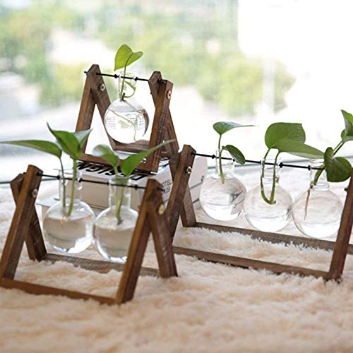 Plant Terrarium Hydroponic Vase Glass Planter Bulb Vase Tabletop H...