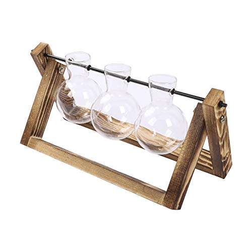 Plant Terrarium Hydroponic Vase Glass Planter Bulb Vase Tabletop H...