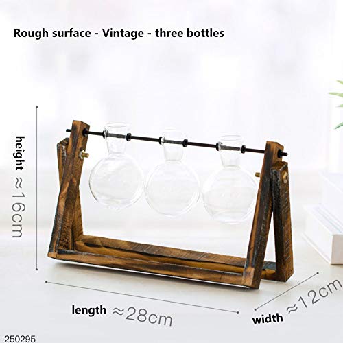 Plant Terrarium Hydroponic Vase Glass Planter Bulb Vase Tabletop H...