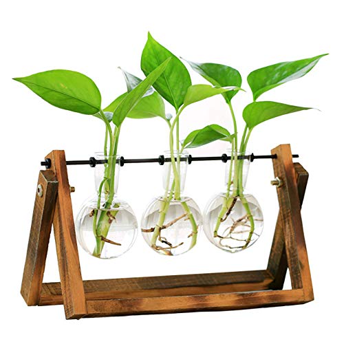 Plant Terrarium Hydroponic Vase Glass Planter Bulb Vase Tabletop H...