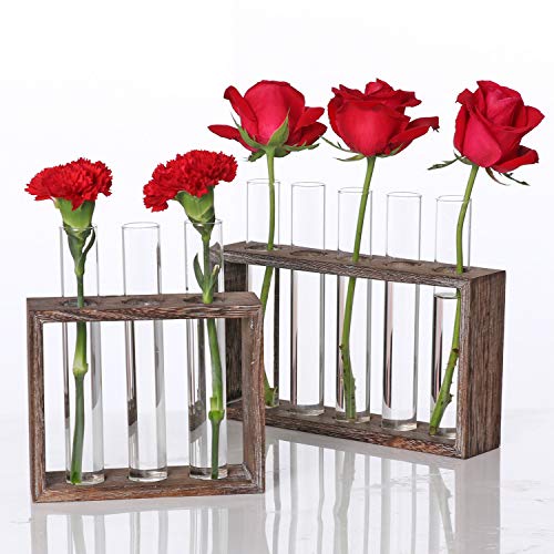 Wall Hanging Plant Terrarium Hydroponic Tube Vase Glass Planter Ta...