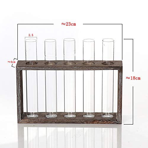 Wall Hanging Plant Terrarium Hydroponic Tube Vase Glass Planter Ta...