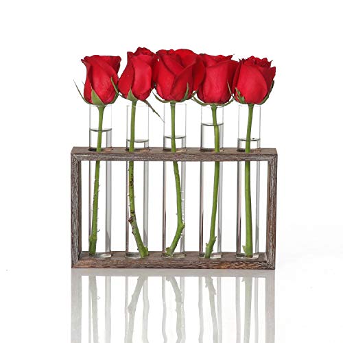 Wall Hanging Plant Terrarium Hydroponic Tube Vase Glass Planter Ta...