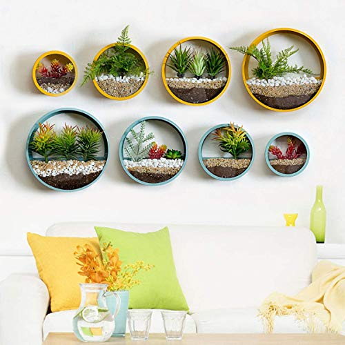 3 Pack Set Modern Wall Planters Succulent Planter, Circle Metal Fl...