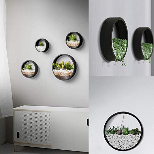 3 Pack Set Modern Wall Planters Succulent Planter, Circle Metal Fl...
