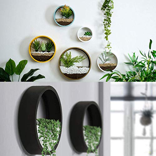 3 Pack Set Modern Wall Planters Succulent Planter, Circle Metal Fl...