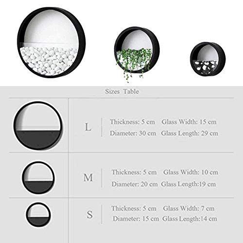 3 Pack Set Modern Wall Planters Succulent Planter, Circle Metal Fl...