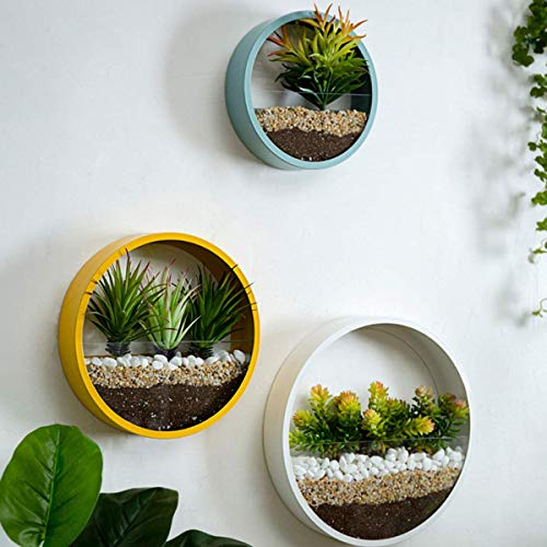 3 Pack Set Modern Wall Planters Succulent Planter, Circle Metal Fl...