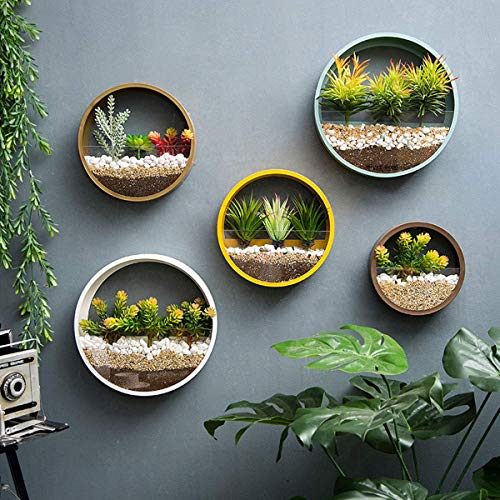 3 Pack Set Modern Wall Planters Succulent Planter, Circle Metal Fl...