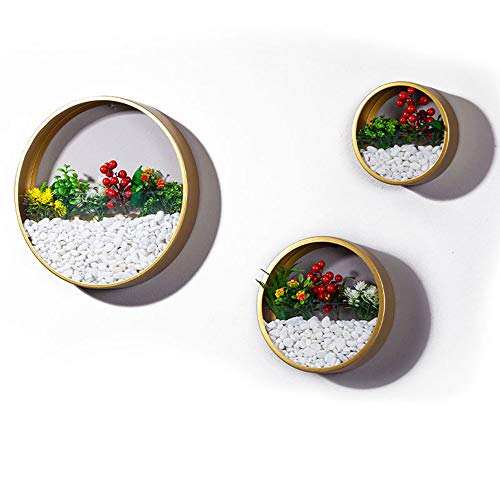 3 Pack Set Modern Wall Planters Succulent Planter, Circle Metal Fl...