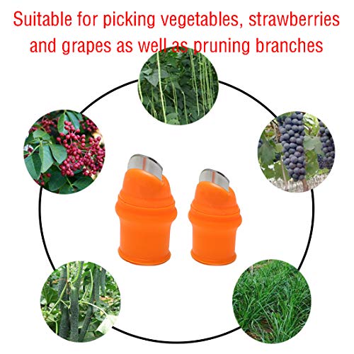 Zehhe Professional Garden Silicone Thumb Knife, Harvesting Plant K...