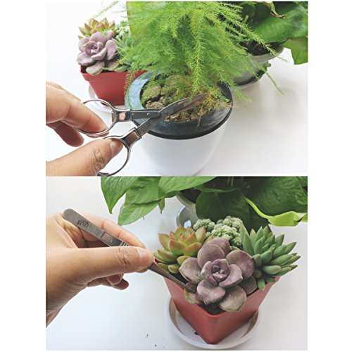 Bonsai Set 8 Pcs - Include Pruner,Fold Scissors,Mini Rake,Bud & Le...
