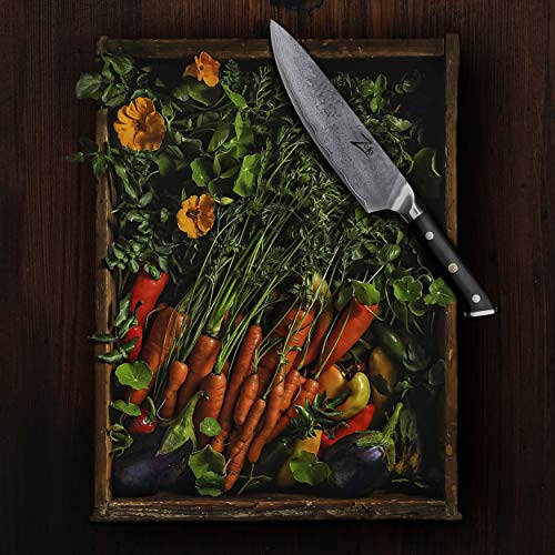 Zelite Infinity Chef Knife 8 Inch, Damascus Japanese AUS-10 Super ...