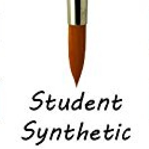 ZEM Brush Student Golden Synthetic Rounds Brushes Set Sizes 2,4,6,...