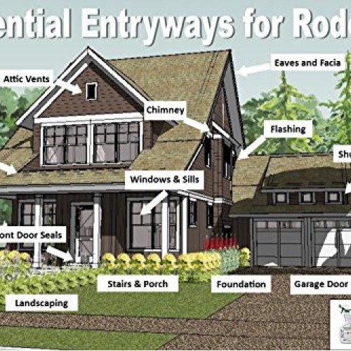 Zepol Labs Mice Repellent - Humane Mouse Trap Substitute - Organic...