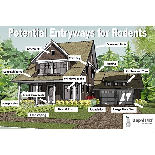 Zepol Labs Mice Repellent - Humane Mouse Trap Substitute - Organic...