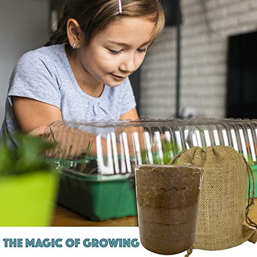 Expanding Organic Fiber Soil, Amazing Potting Soil for Indoor Plan...