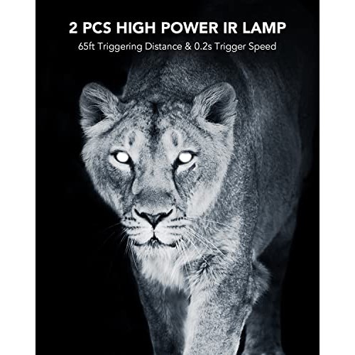 ZETHUS Trail Camera TC-10, 21MP 1080P Hunting Game Cameras with Ni...