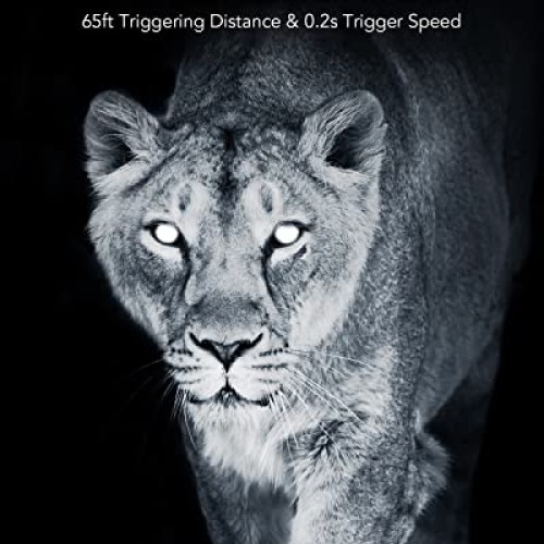 ZETHUS Trail Camera TC-10, 21MP 1080P Hunting Game Cameras with Ni...