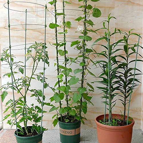 ZFRANC Plant Support Plant Cages Supports with 3 Adjustable Rings,...