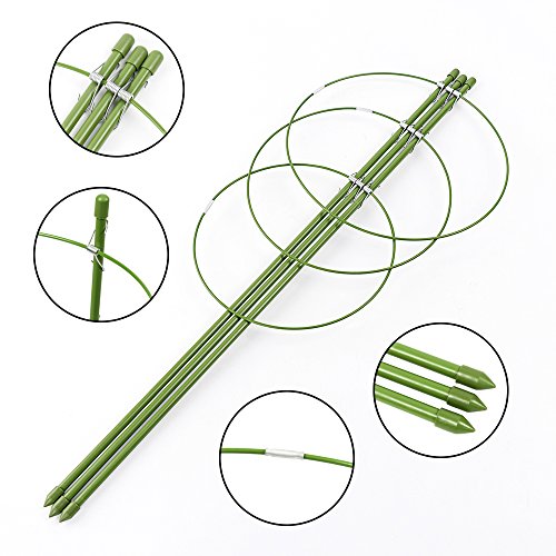 ZFRANC Plant Support Plant Cages Supports with 3 Adjustable Rings,...