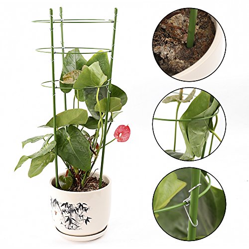 ZFRANC Plant Support Plant Cages Supports with 3 Adjustable Rings,...