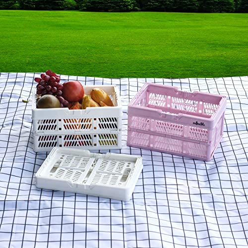 ZHJINGYU crates for storage,plastic baskets for organizing,collaps...