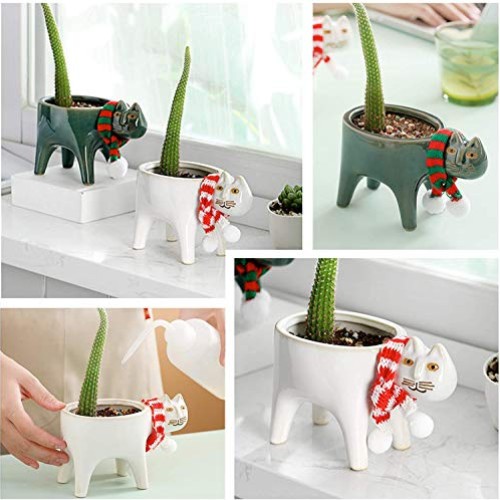 Collective Planter Succulent Pots with Drainage - Succulent Plante...