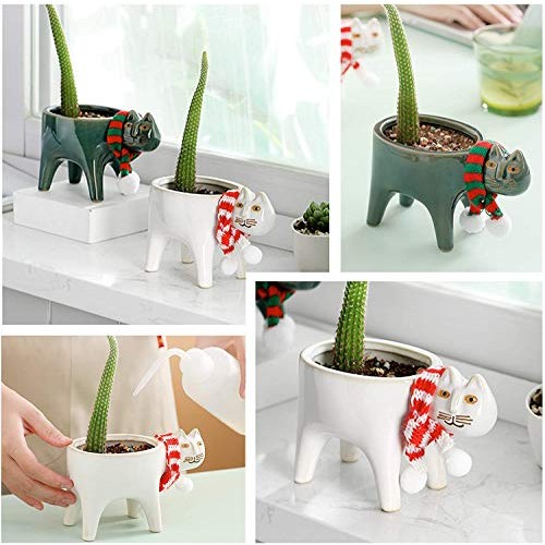 Collective Planter Succulent Pots with Drainage - Succulent Plante...